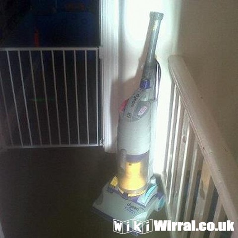 Attached picture dyson dc01.jpg